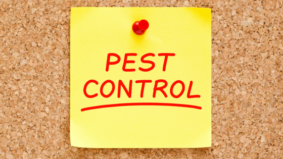 Pest Control