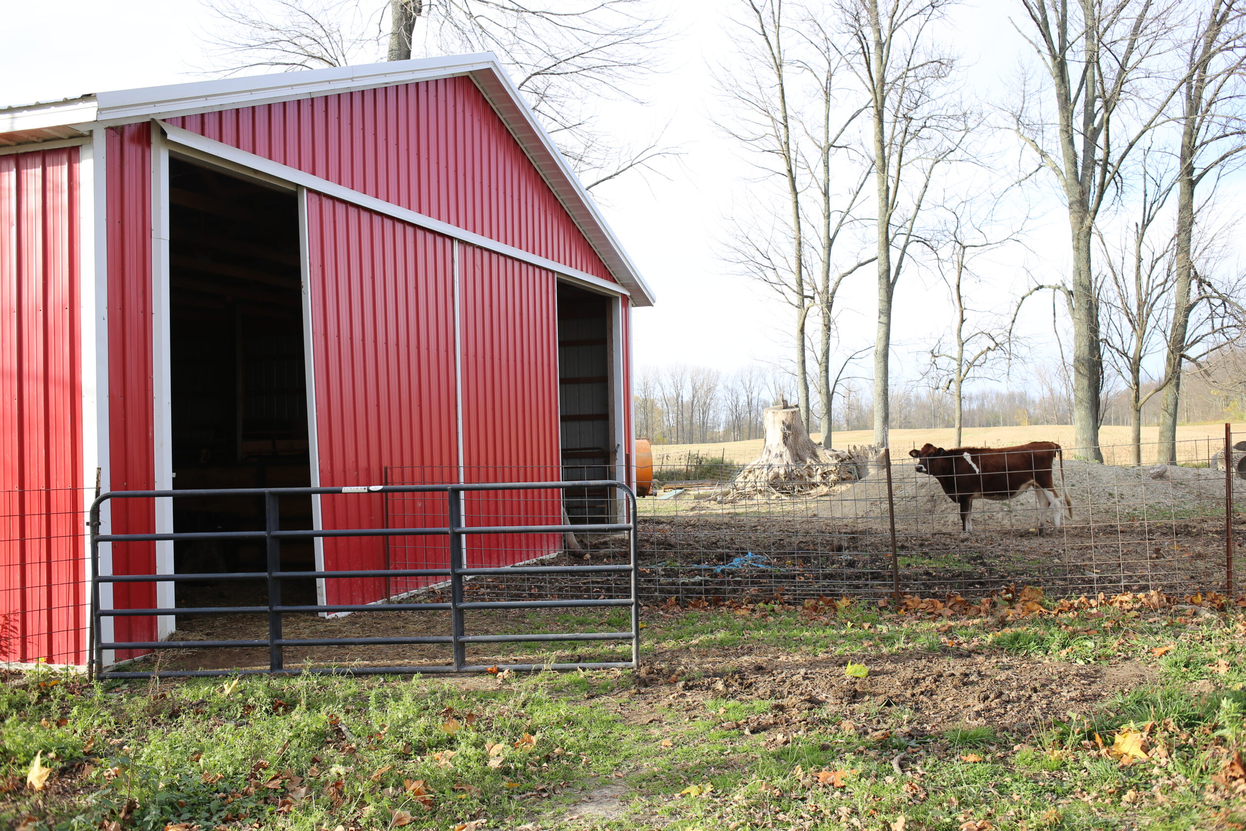 Advantages of Pole Barns for Livestock - Image