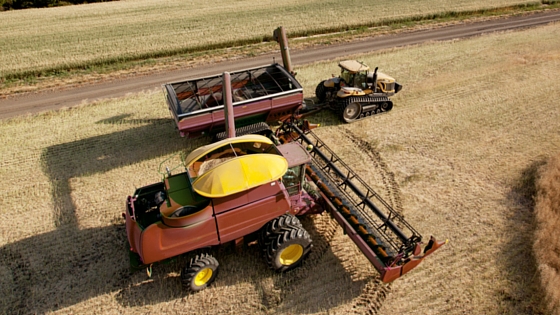 Storing Food in Your Pole Barn - Image